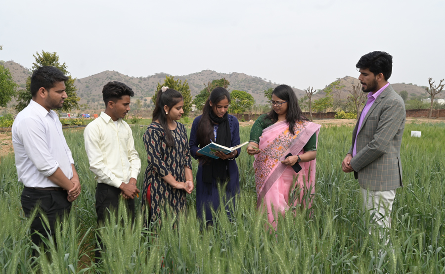 School of Agriculture