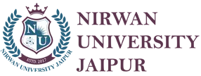 Nirwan University