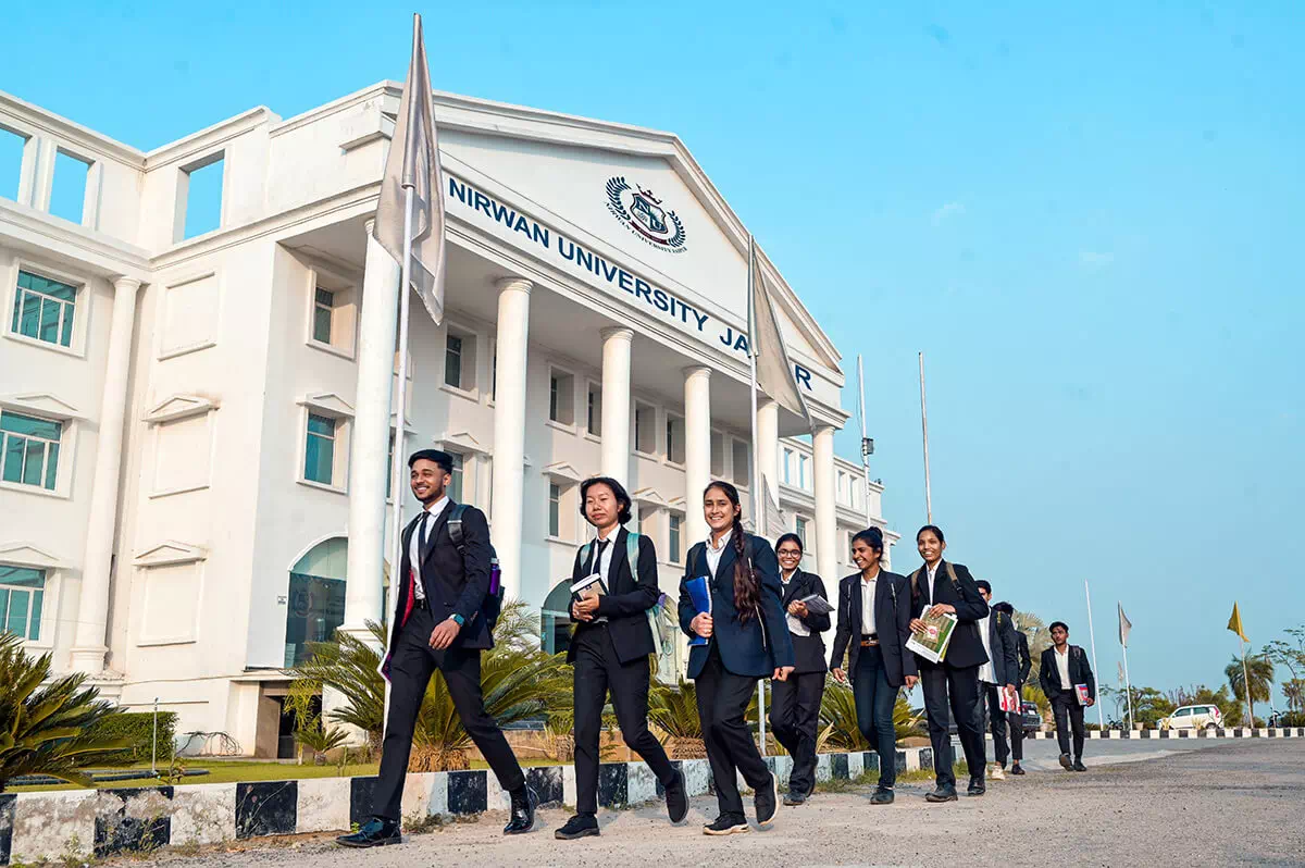 overview nirwanuniversity
